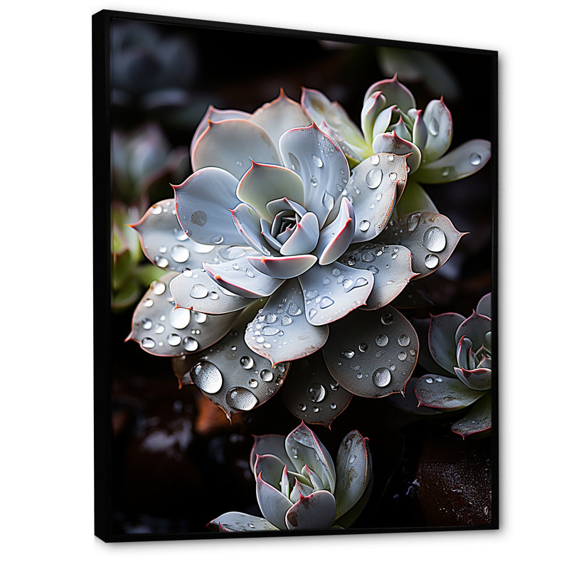 Bleu succulent explosion, H 32 po x l 16 po x P 1 po, Cadre flottant noir