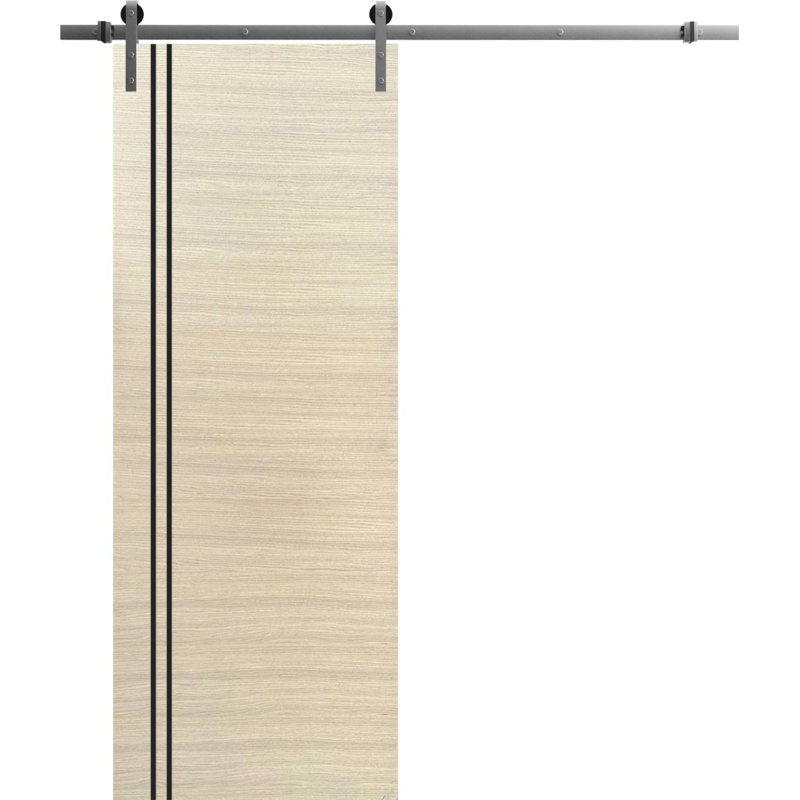 Porte coulissante de style grange avec quincaillerie en acier inoxydable, 2 m (6,6 pi), supports de rail en placage naturel Planum 0016, ensemble argenté robuste, portes intérieures modernes à panneaux pleins - 61 cm x 203 cm (24 po x 80 po) - Rail argenté