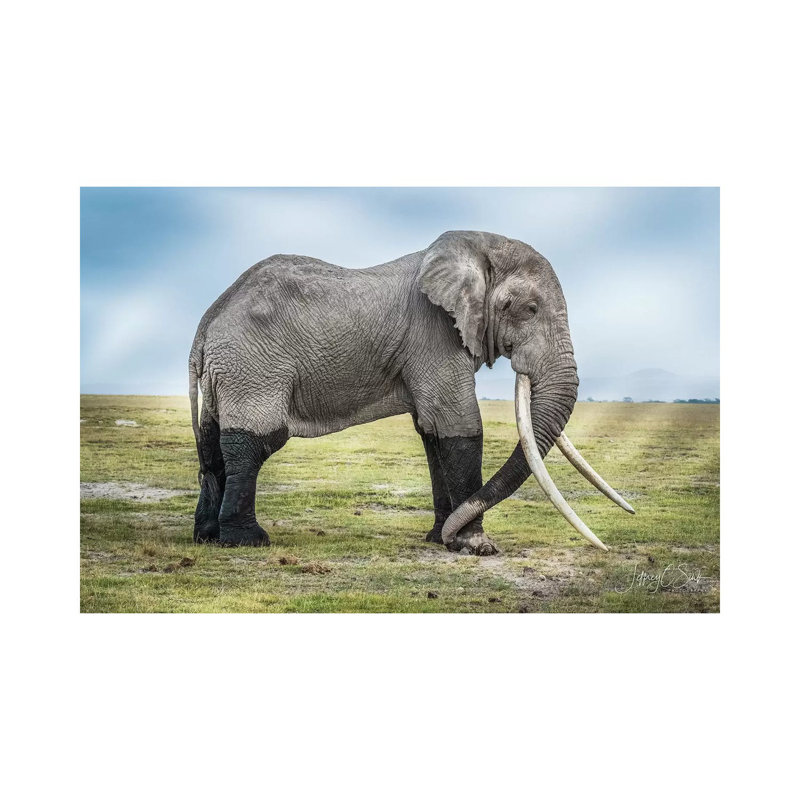 In Memorial by Jeffrey C. Sink - Wrapped Canvas Print, 66.04cm H x 101.6cm W x 1.91cm D