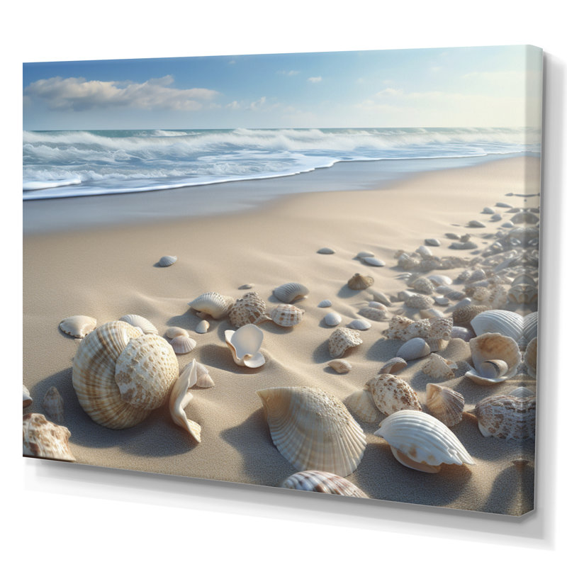 Seaside Seashell Treasures VI - Imprimé, H 30 po x l 40 po x P 1,5 po, Toile tendue