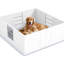 Grande boîte de mise bas pour chien avec coussin imperméable - stable, entrée réglable, caisse en bois de pin blanc et imperméable, L 48,8 po x l 47,2 po H 18,9 po