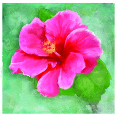 " Hibiscus II " by Mollie B.