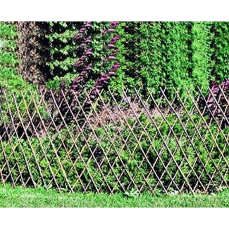  72'' H x 36'' W Wood Trellis, 36" H x 72" W x 0.5" D