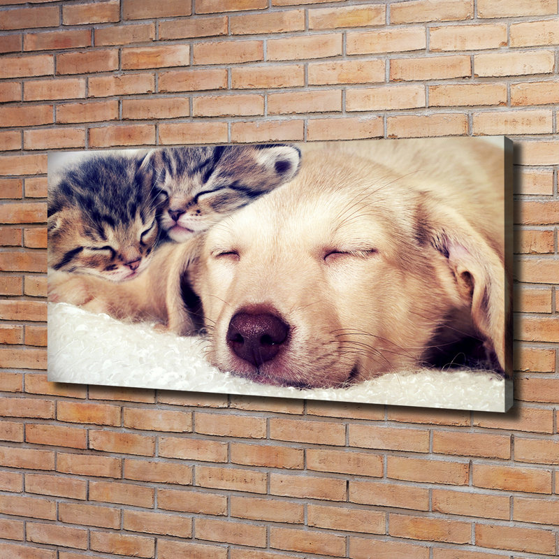 Puppy And Cats - Wrapped Canvas Print