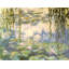 Nénuphars et branches de saule-228524233