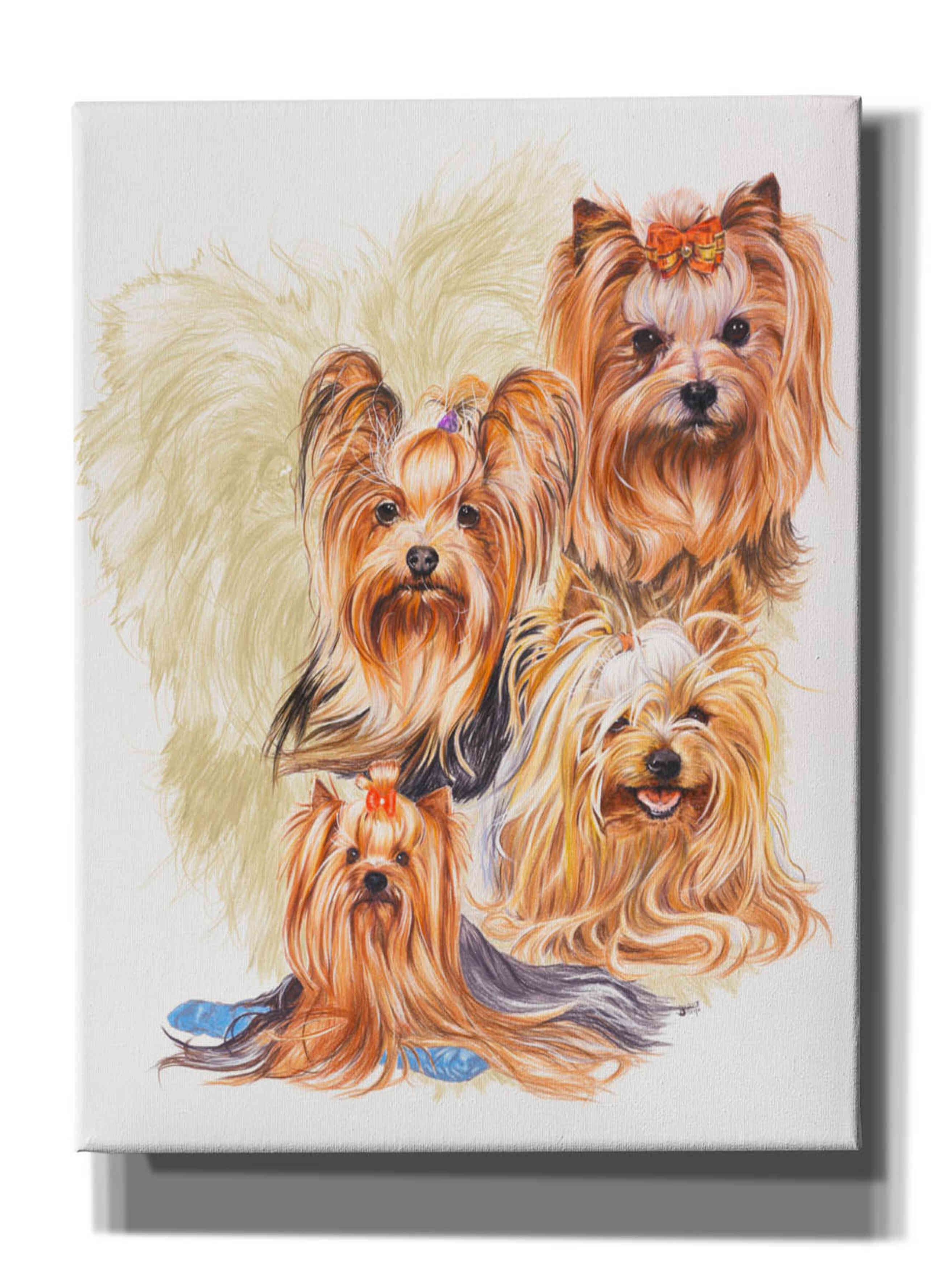Paint by Numbers Dog Yorkshire Terrier DIY Painting Set for Adults 