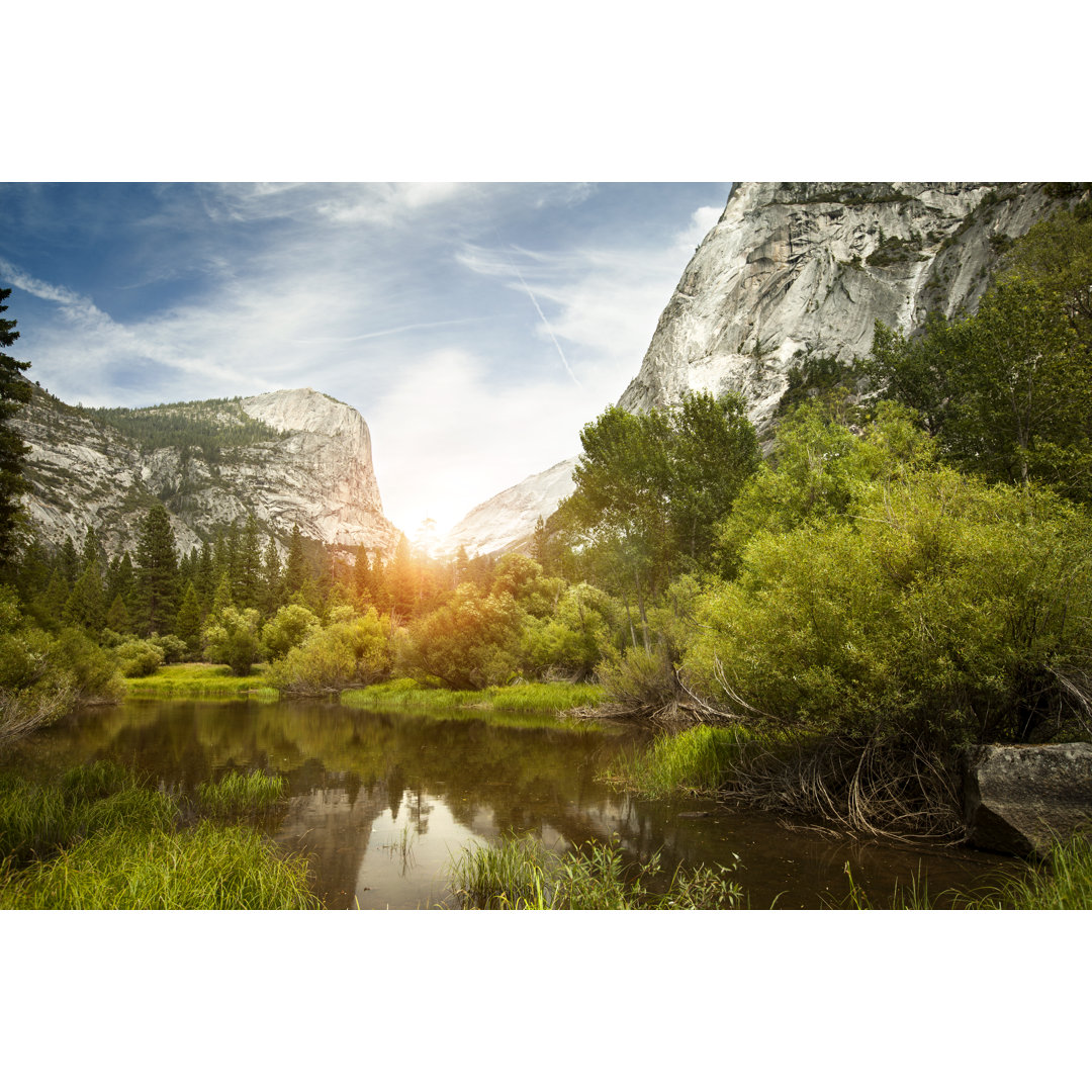 Yosemite National Park von Orbon Alija - Druck