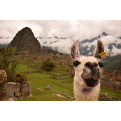 " Machu Picchu " by Surbs279