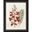 Large Red Botanical IV Print