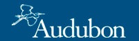 Logo Audubon