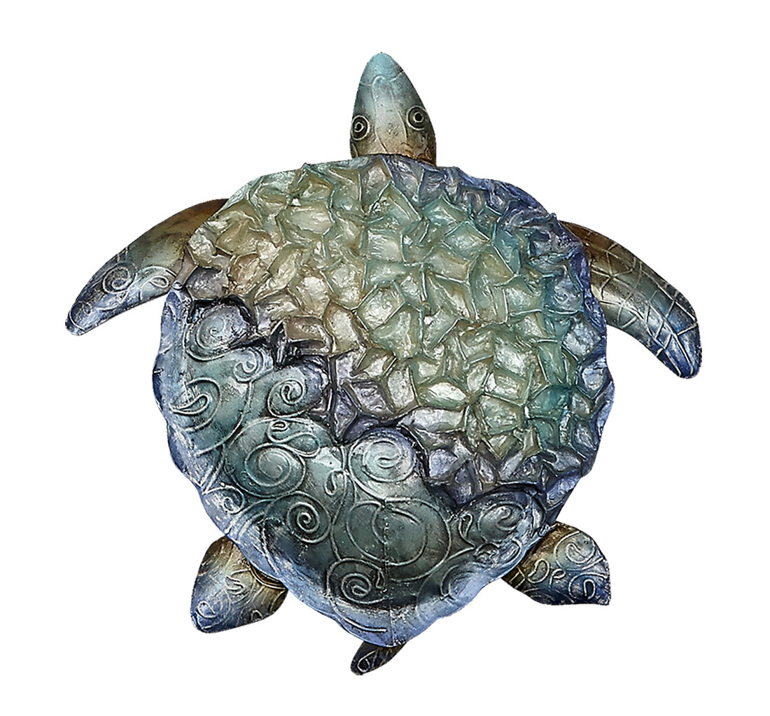 Bay Isle Home™ Capiz Ruffled Turtle Wall Décor | Wayfair