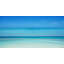 Parvez Taj - Wrapped Canvas Print-15986647