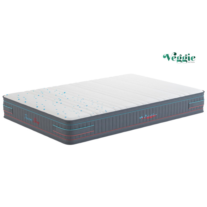 Veggie Mattress Foam Mattress, 100 x 200cm