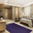 Modern Plush Pet and Kids Friendly Solid Color Purple Area Rugs, Stain & Fade Resistance, Perfect for Living Room, Dining Room, Bedroom, Playroom and Kidsroom, Event, Wedding, Amberjo Binded Rug-1209941614
