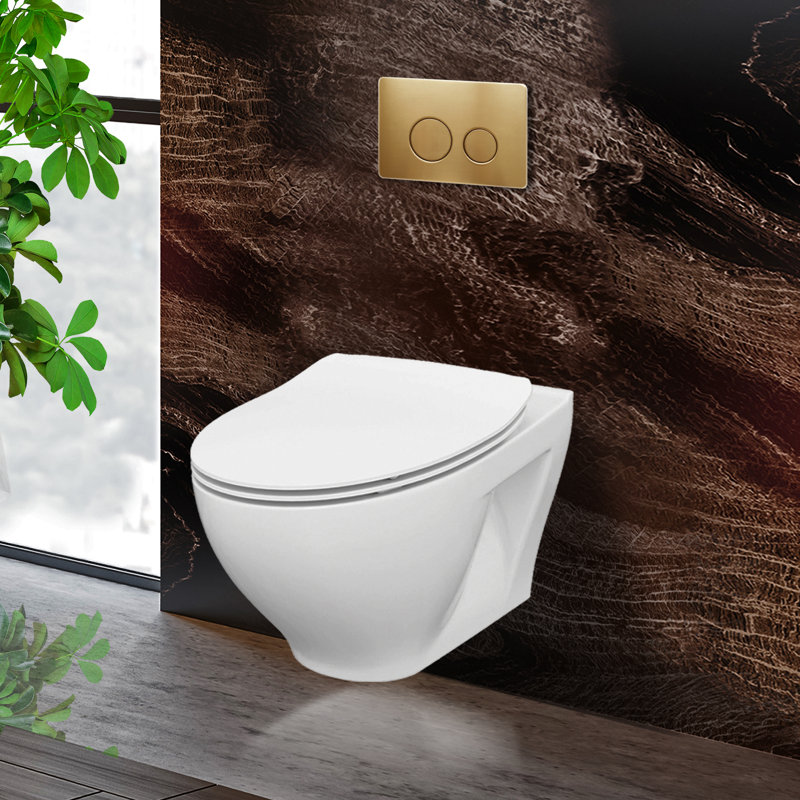 StormOn Dual-Flush Elongated Wall-Mount Toilet (Seat Included), Satin Brass, 6"