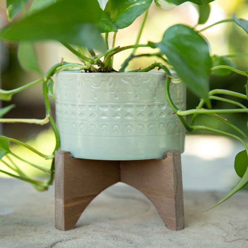 Isom Ceramic Pot Planter