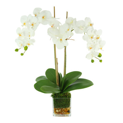 Polysilk Orchid Arrangement in Vase
