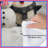 Penguins With Snowman Comforter-125273068