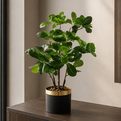 Eucalyptus Arrangement in Pot