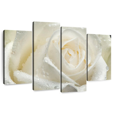 Rose blanche Harnek Dewy