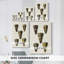 Collection Cone Shell V - Cavas enveloppés de galerie-1725046062