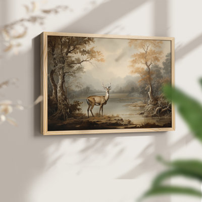 Faune, série XXIV, reproduction encadrée