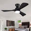 Ventilateur de plafond noir Hot Lights de 42 po avec lumières Hot Fan