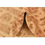 Tapis beige Mullings
