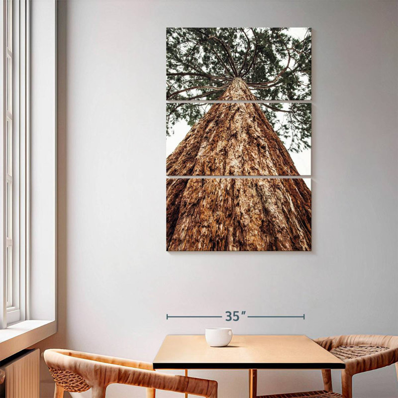 Harnek Sierra Redwood