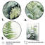 Zacaria Minimal Ferns Emerald Reverie I sur toile-1225611001-1225610945