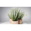 Plantes artificielles en pot