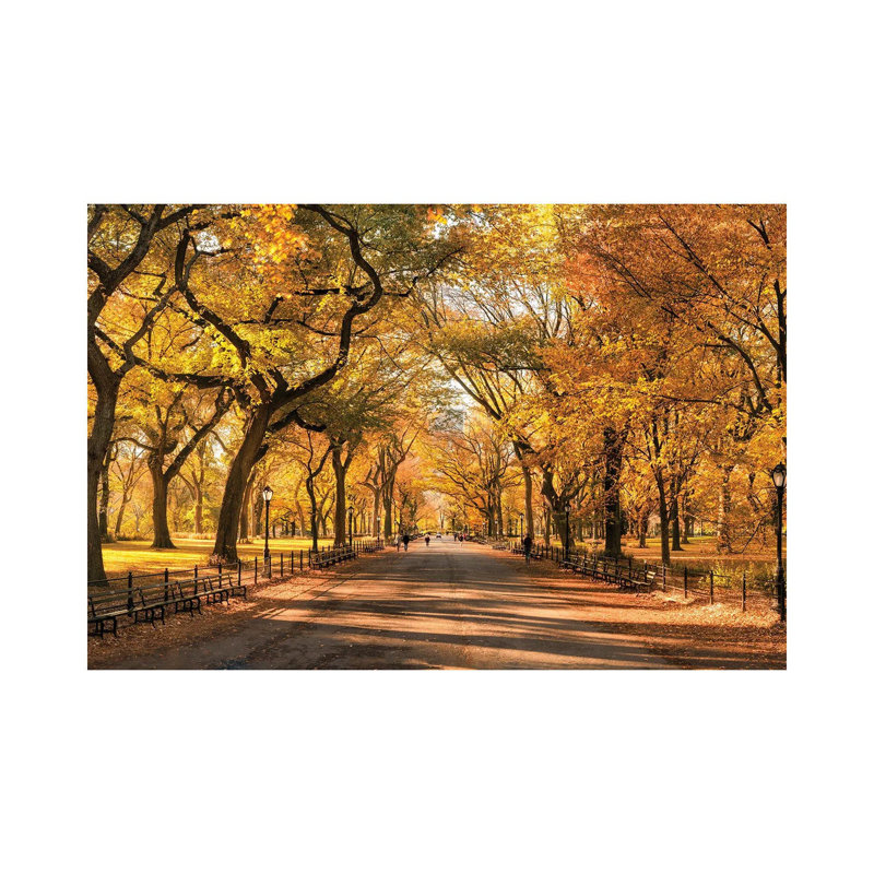 Autumn Colors In Central Park, New York City, USA by Jan Becke - Wrapped Canvas Print, 101.6 cm H x 66.04 cm W x 1.91 cm D