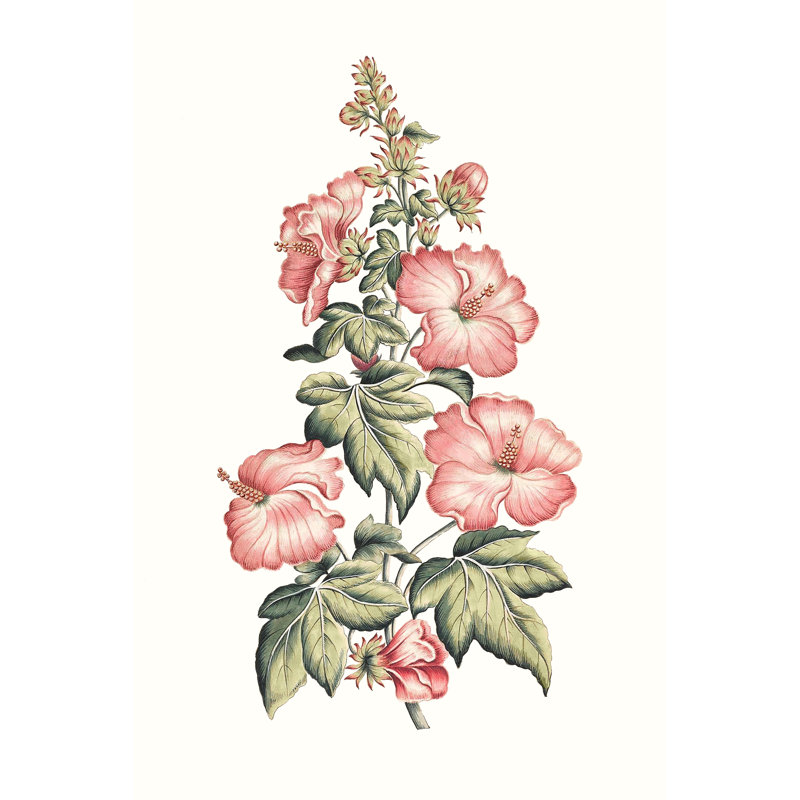 Flowering Hibiscus II - Graphic Art, 91cm H x 61cm W, Wrapped Canvas