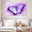 Mauve sur papillon mauve-107930251