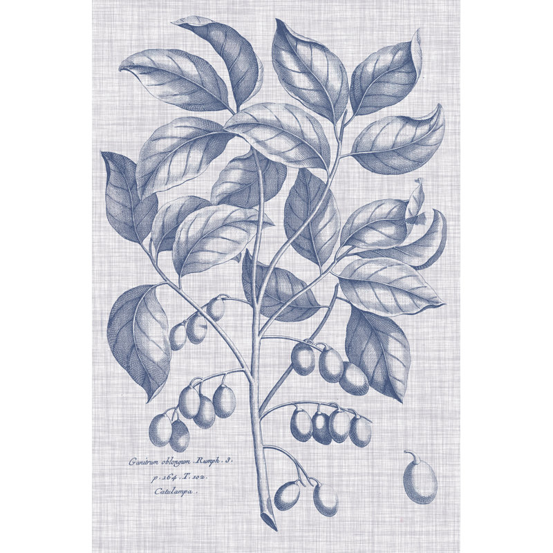 Navy & Linen Botanical II by Vision Studio - No Frame Print on Canvas, 46cm H x 30cm W x 3.8cm D