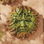 Water Resistant Plastic Wall Decor