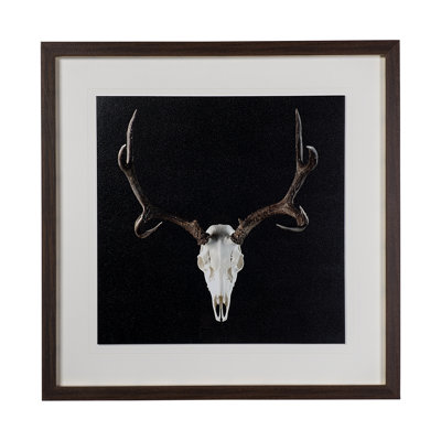 Deer Skull-L by Chris Dunker a Hand Embelished Textured Framed Art Print Matted under Glass