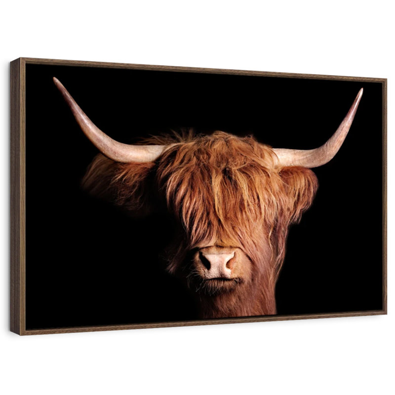 Scottish Highland Cow, 27" H x 40" W