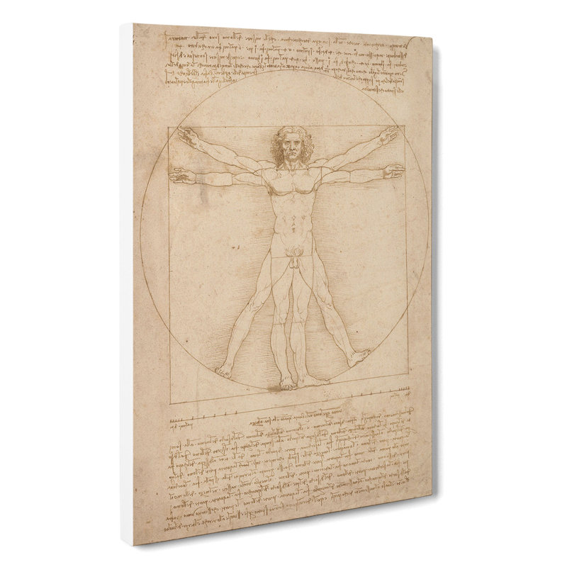 Vitruvian Man Vol.2 by Leonardo Da Vinci - Wrapped Canvas Painting, 76cm H x 50cm W x 3cm D