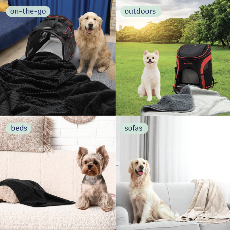Coussins Katziela, 90 po x 80 po, Noir