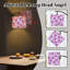  Lampe sur pied Arc Kawaii Cherries