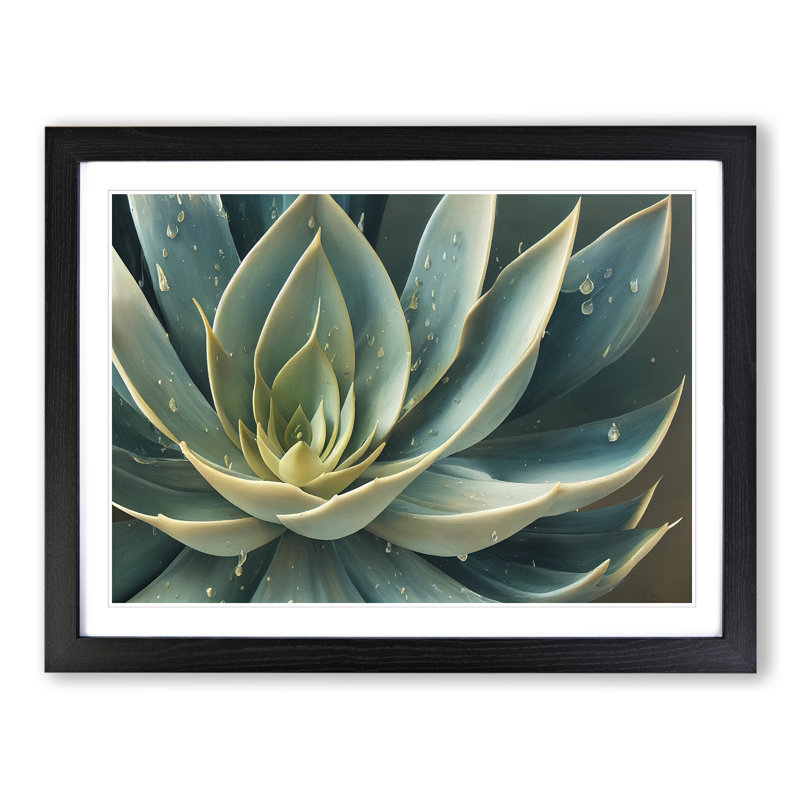Tantalising Succulent Plant - Single Picture Frame Print, Black, 46cm H x 64cm W x 2cm D