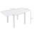 Derizzo Extendable Metal Dining Table-82763058