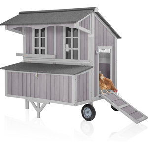 Tucker Murphy Pet™ Chicken Coop Upgrade Durable Outdoor Chicken House ...