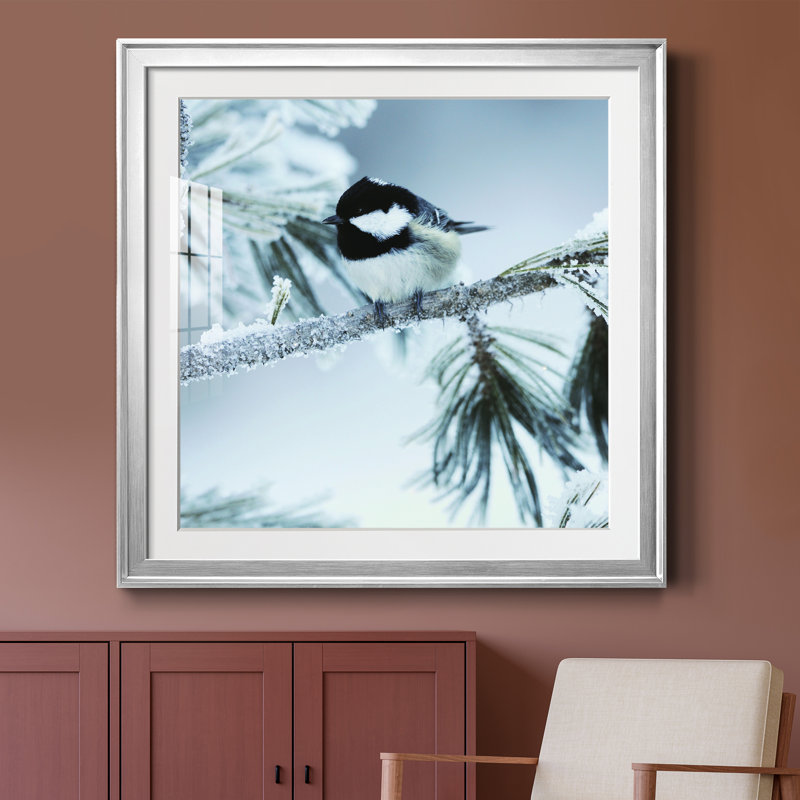 Frosty Perch - Impression de cadre photo sur papier, Encadrement argenté, H 26,5 po x l 26,5 po x P 1,5 po