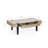 Regalado 2-Drawer Coffee Table