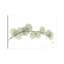 Eucalyptus by Albert Koetsier - Print on Canvas-752496735-728940434