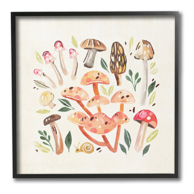 Champignons fantaisistes et escargot