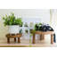 Linford Wood Plant Stand - Set of 2