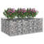 Raised Garden Bed-1114914785